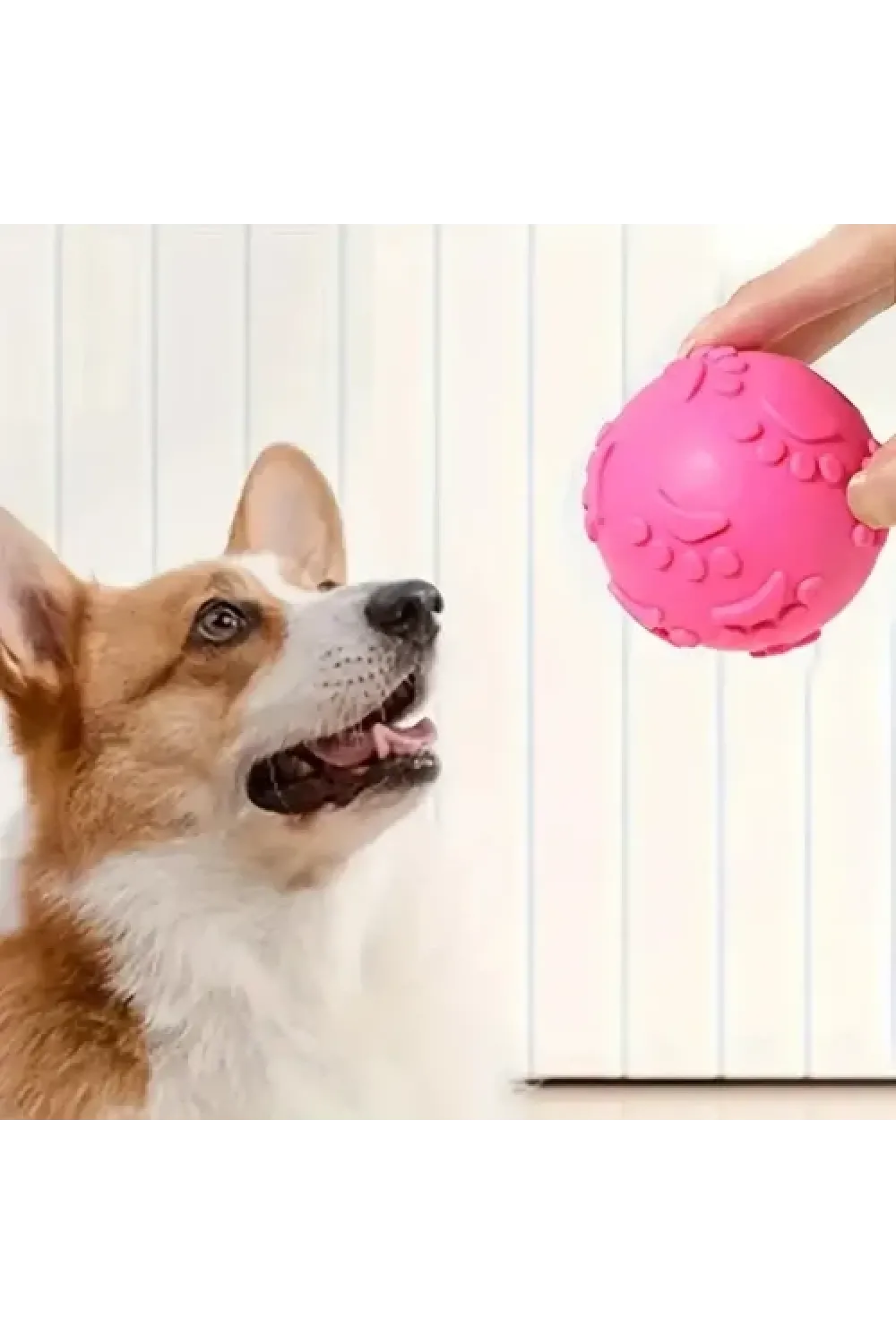 Pati Desenli Dayanıklı Köpek Isırma Topu