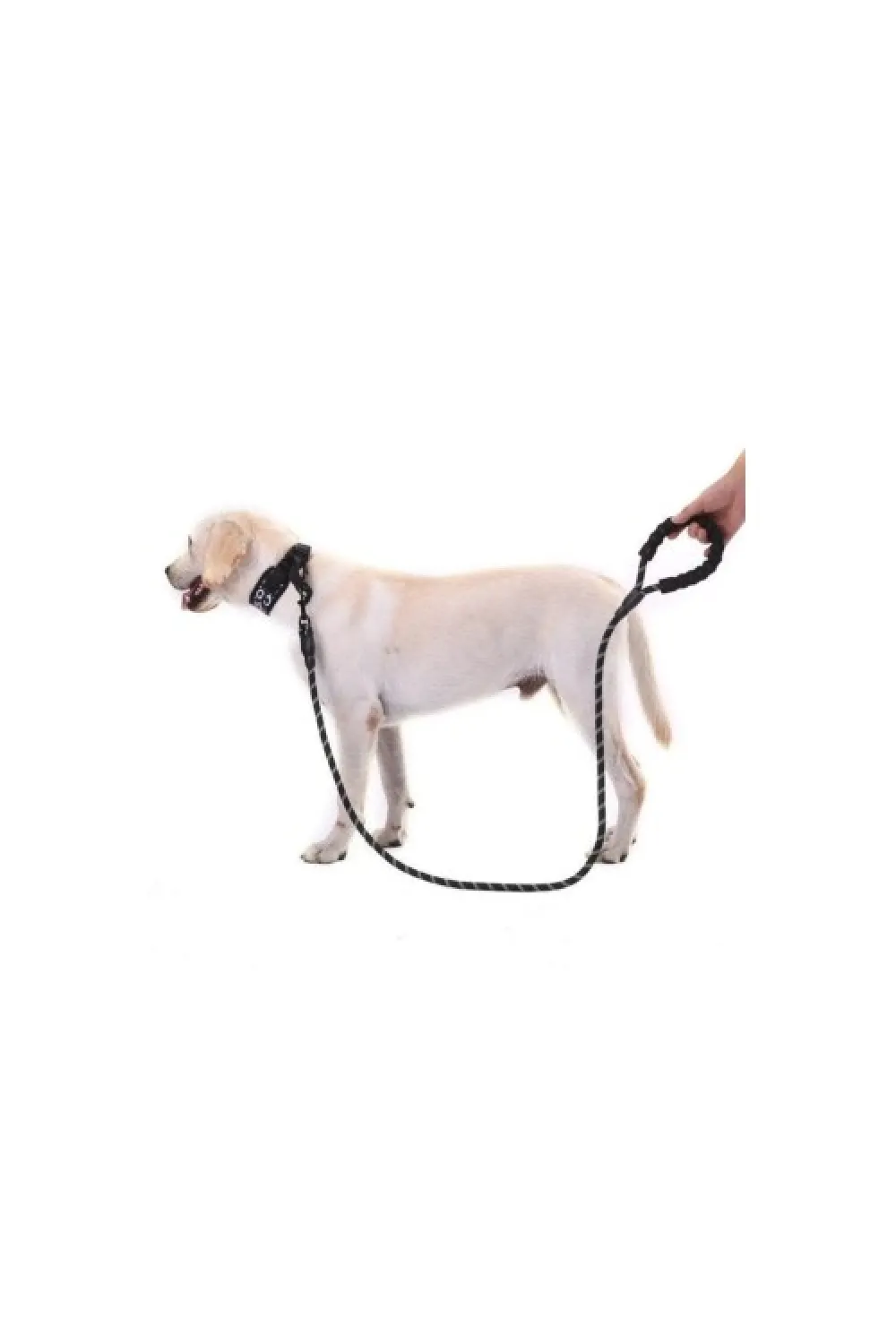 Reflektörlü Köpek Tasması 130 Cm.