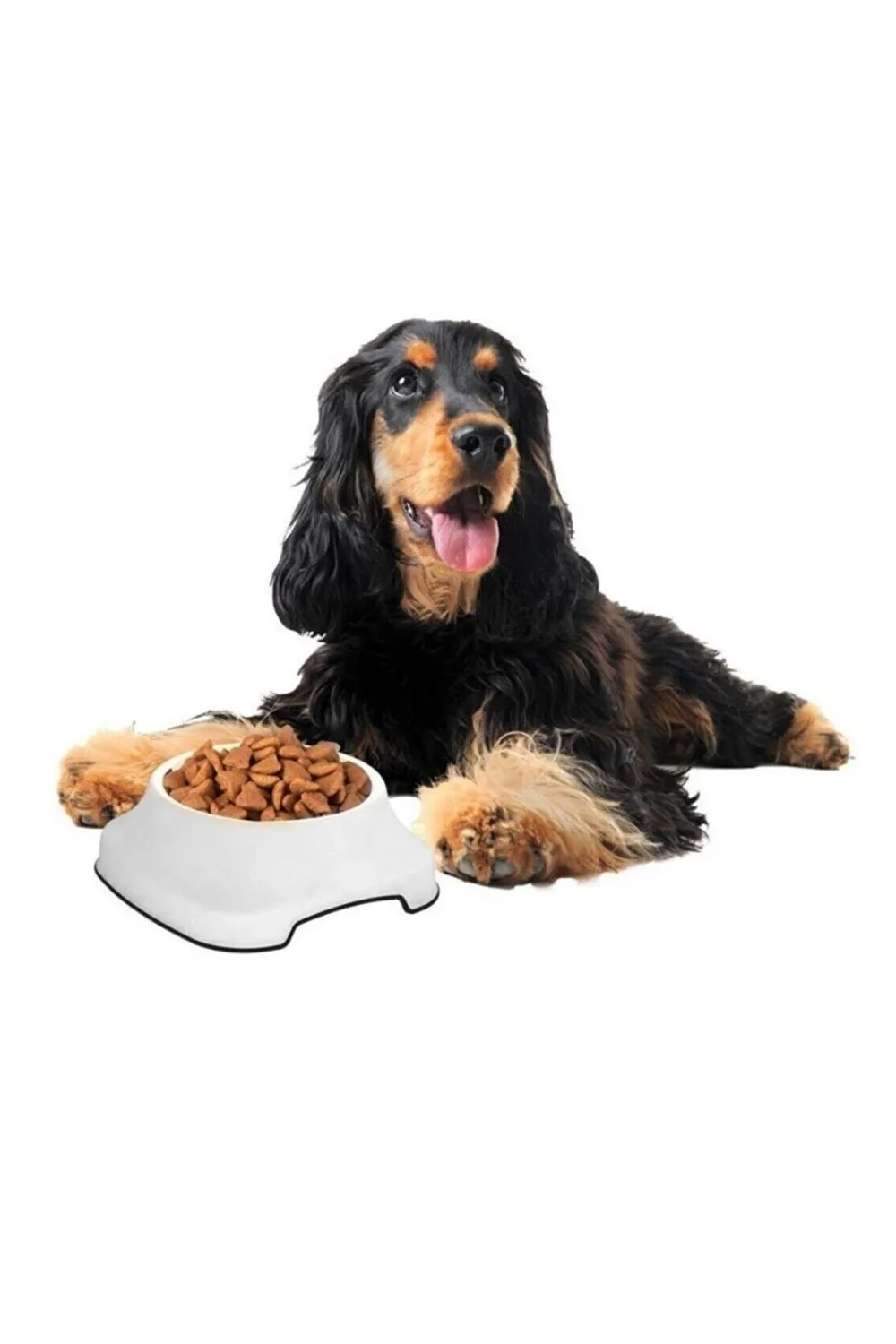 Silikon Kaydırmaz Taban Plastik Kedi ve Köpek Mama ve Su Kabı 2 L