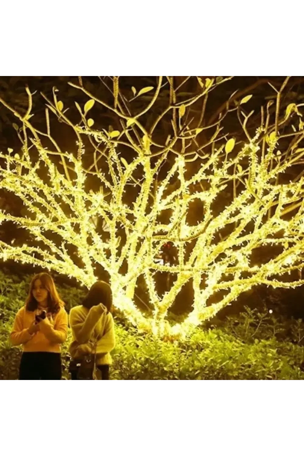 Solar Peri Led 20m 200 Led Gün Işığı
