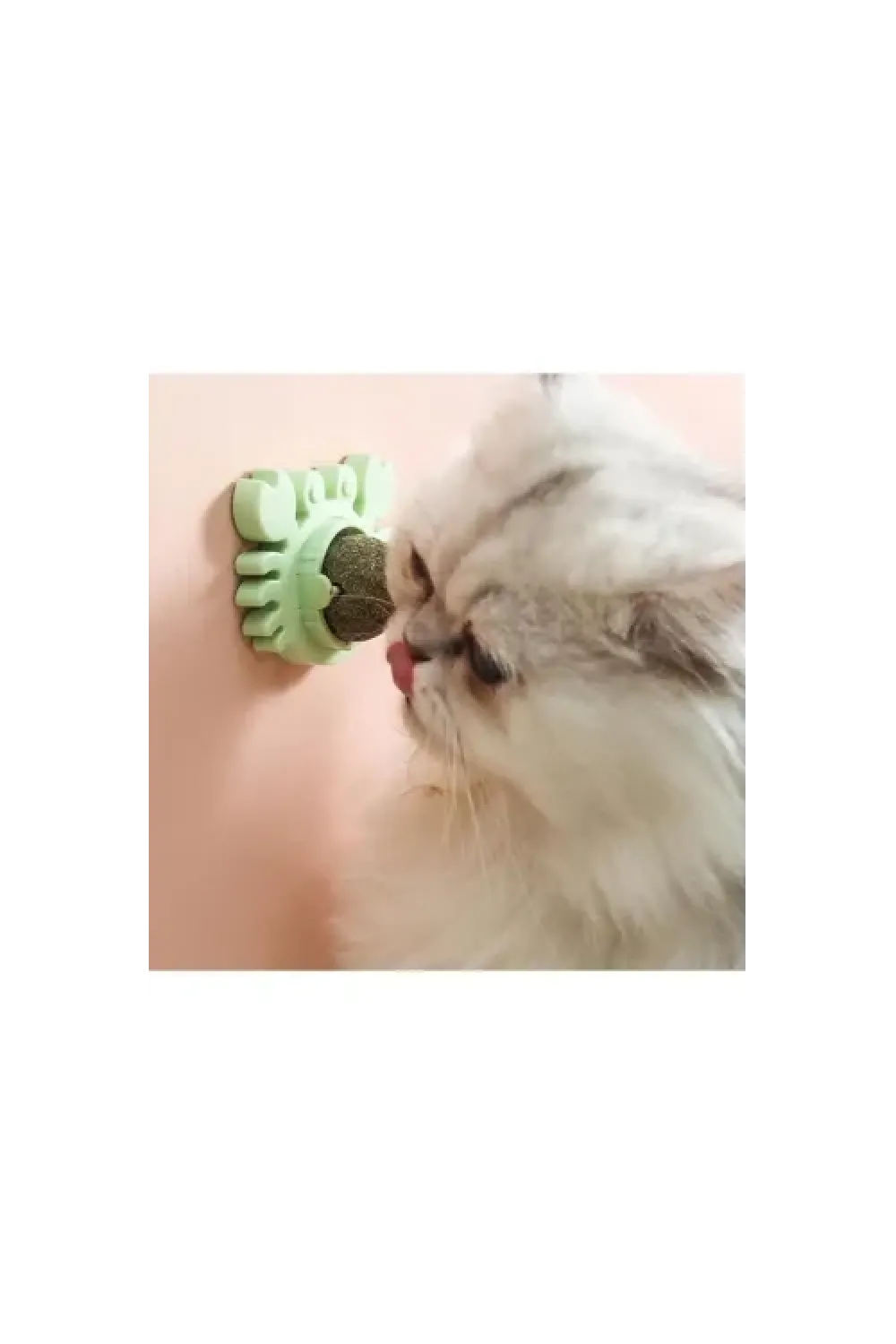 Yengeç Kedi Otu Oyun Topu