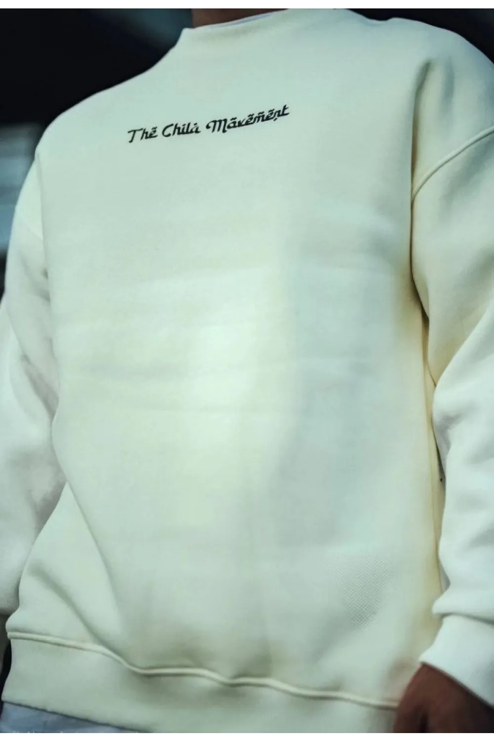 Erkek 3 iplik Pamuklu Bisiklet Yaka Baskılı SweatShirt - Beyaz