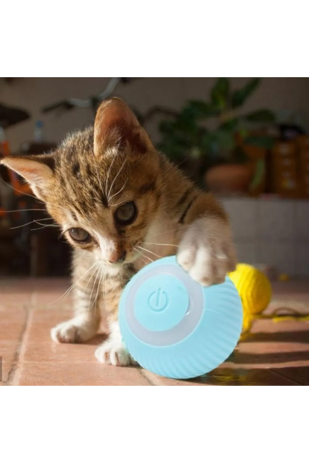 İnteraktif Kedi Köpek Şarjlı Oyun Topu