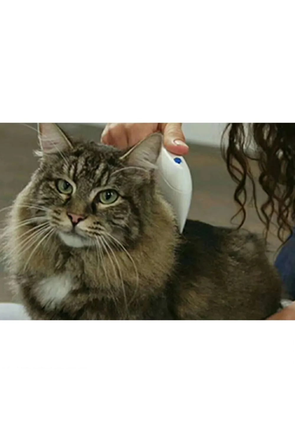 Kedi Köpek Pire Temizleyici Pire Tarağı Flea Doctor