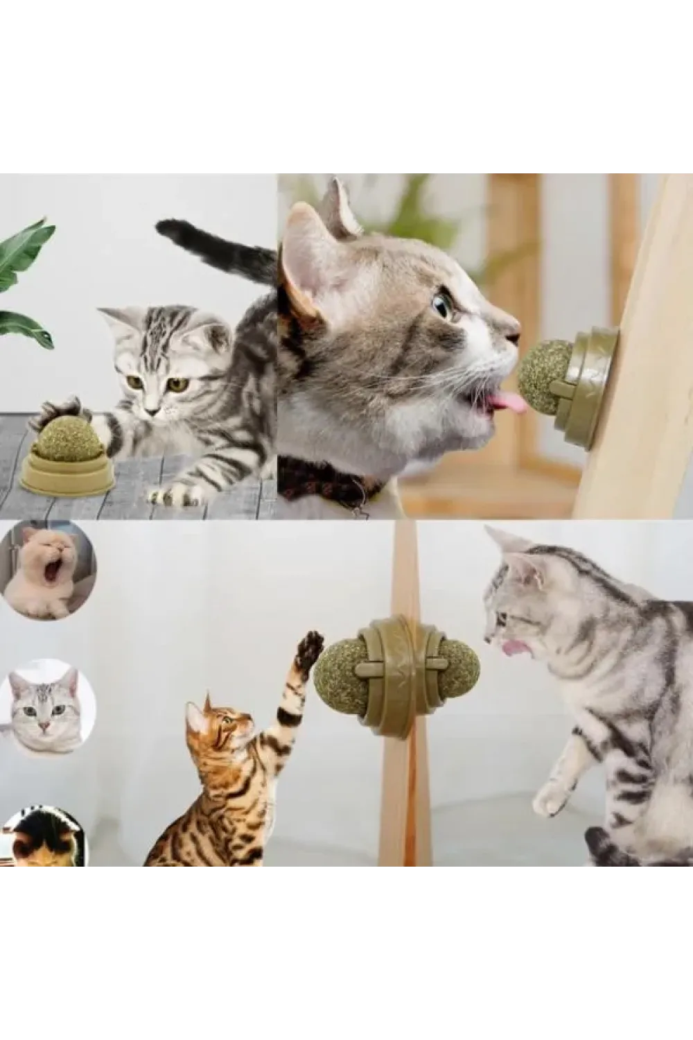 Kedi Nanesi Oyun Topu
