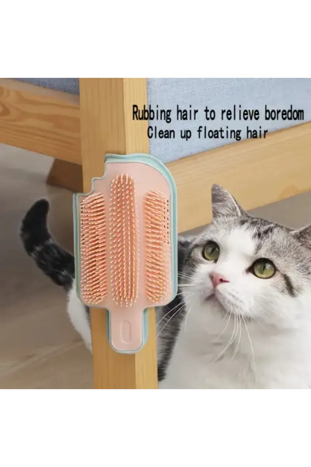 Kedi Otu Hazneli Kedi Kaşınma Aparatı