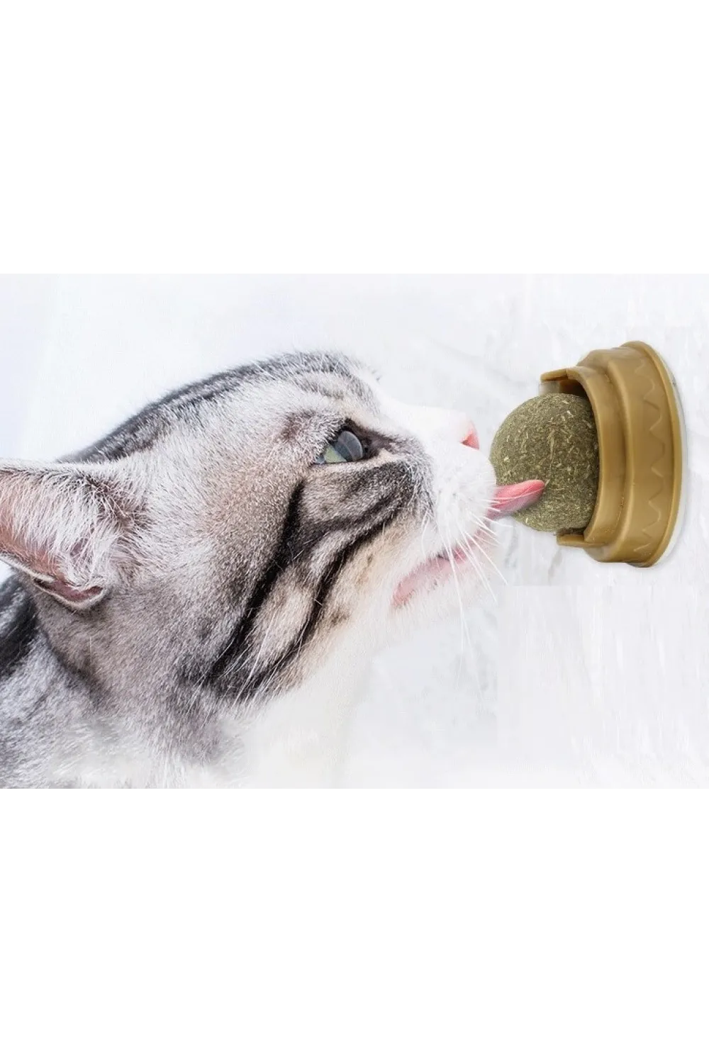 Kedi Otu Oyun Topu