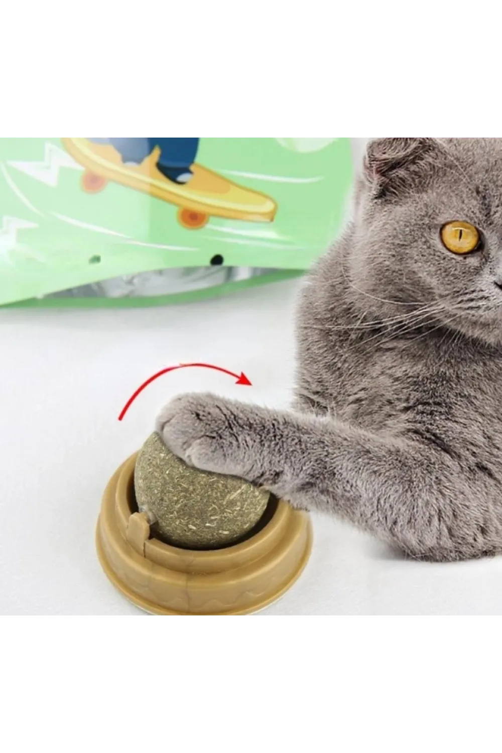 Kedi Otu Oyun Topu