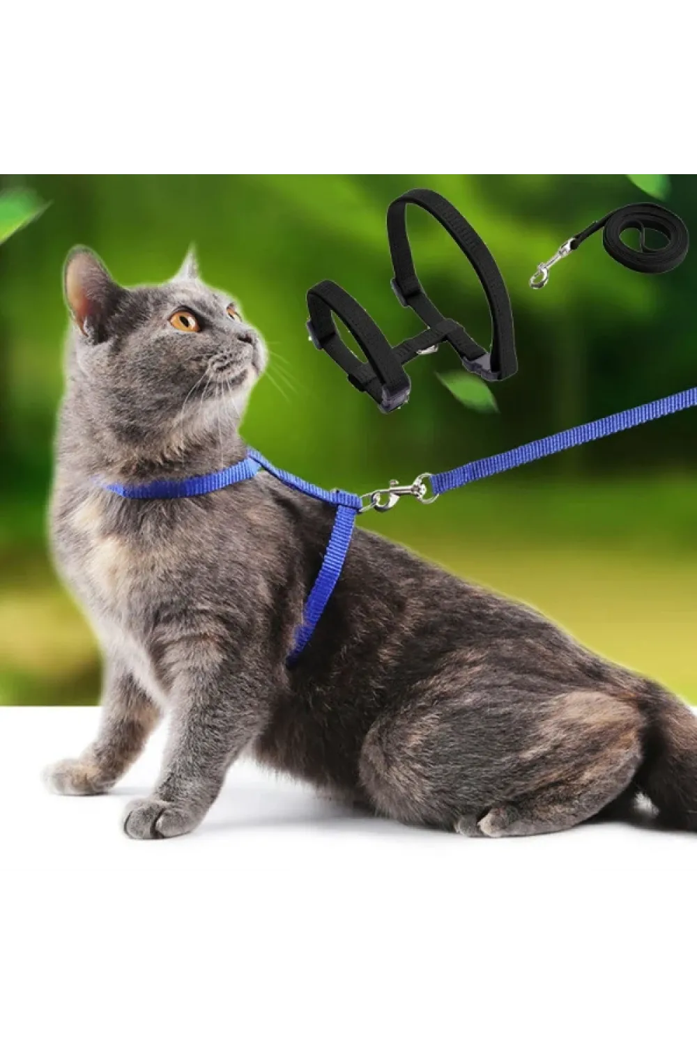 Kedi Tasması