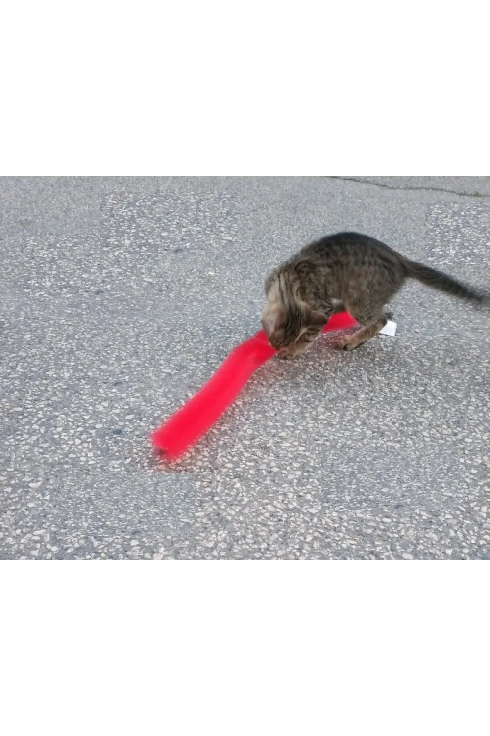Kedi Tırmalama Fırçası - Kedi Oyuncağı