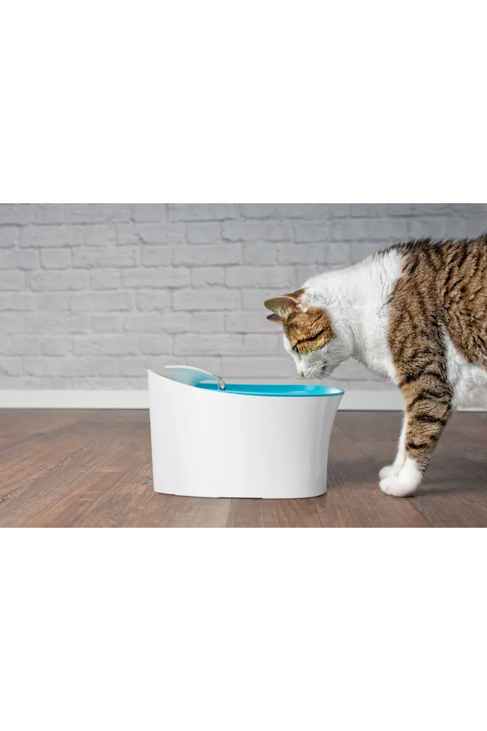 Otomatik Uyarılı Kedi Köpek Su Kabı