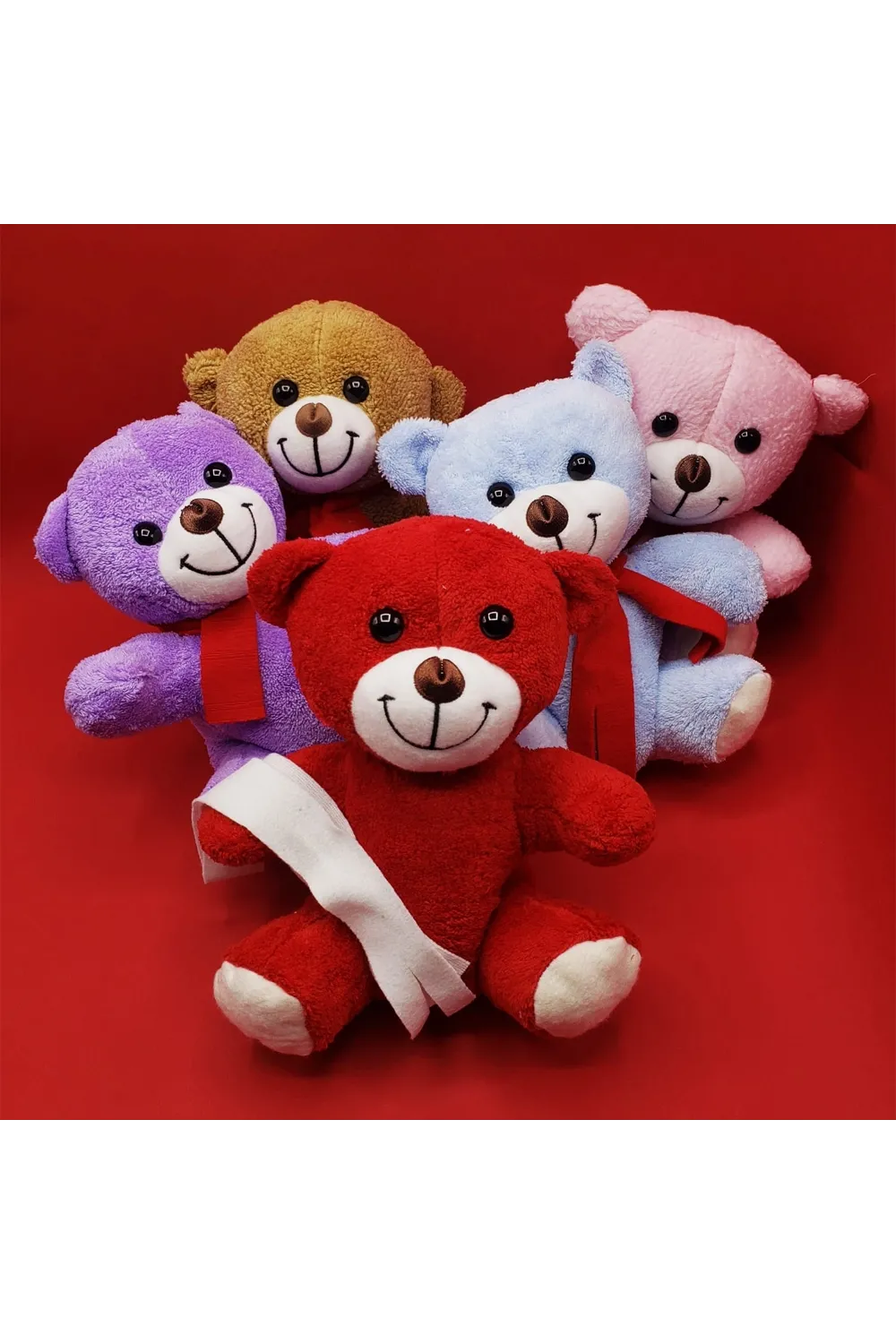 Renkli Peluş Ayıcık