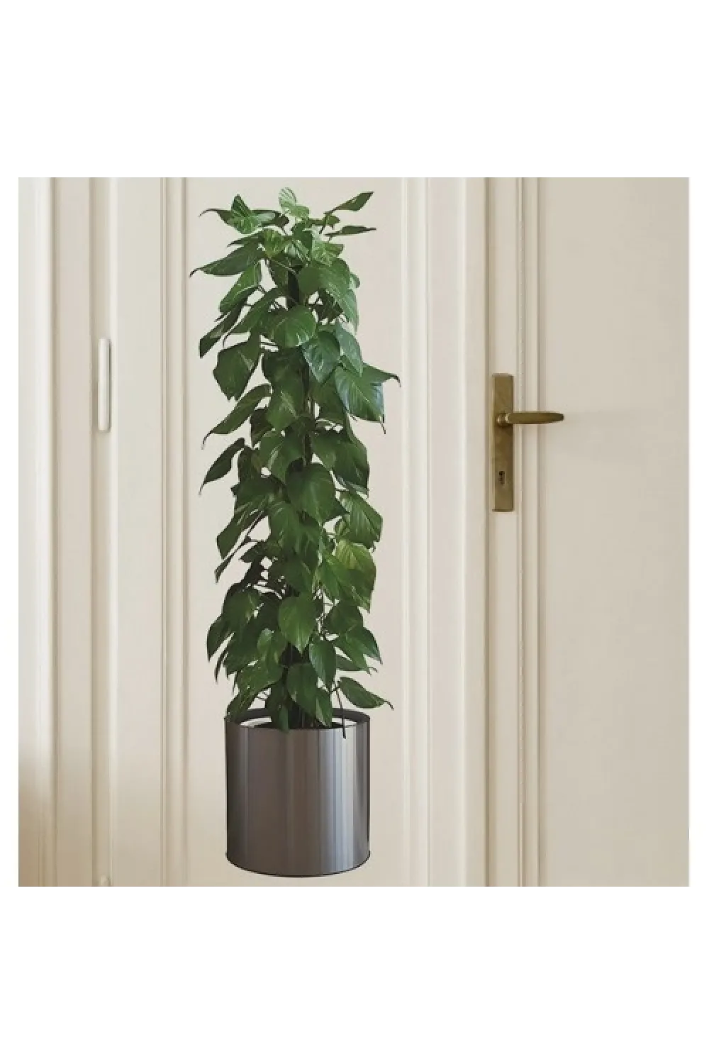 Saksılı Bitki Tasarımlı Yapışkanlı Sticker Resim 90*30 Cm