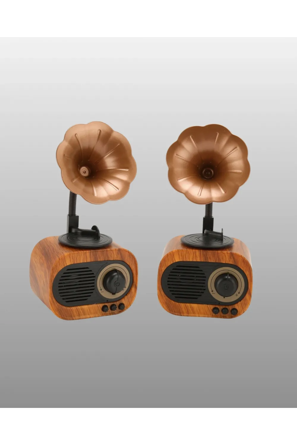 Şarjlı Mini Retro Radyo Bluetooth Hoparlör Çoklu Bağlantı Seçenekli