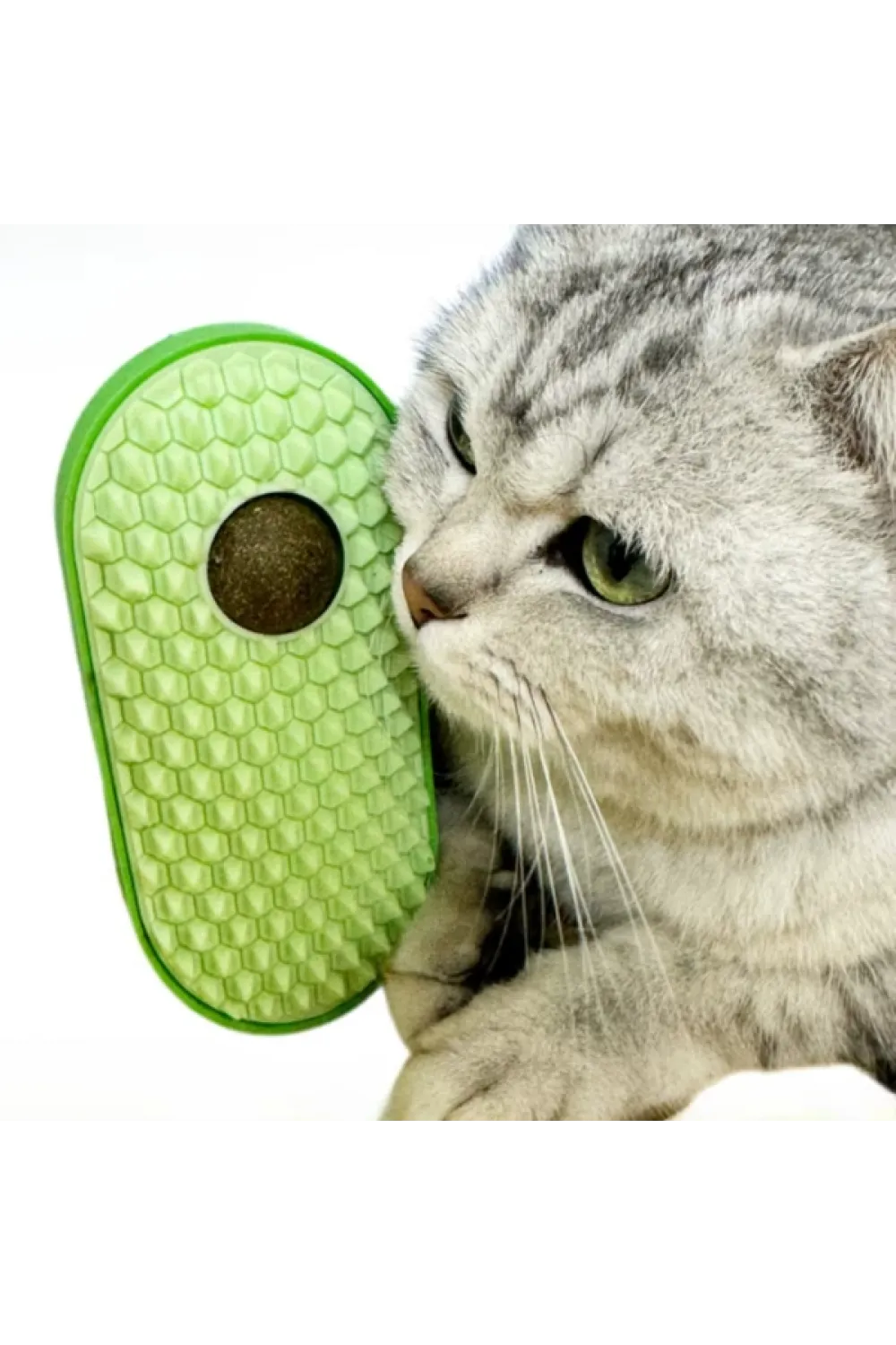 Silikon Kaşıyıcılı Kedi Otu