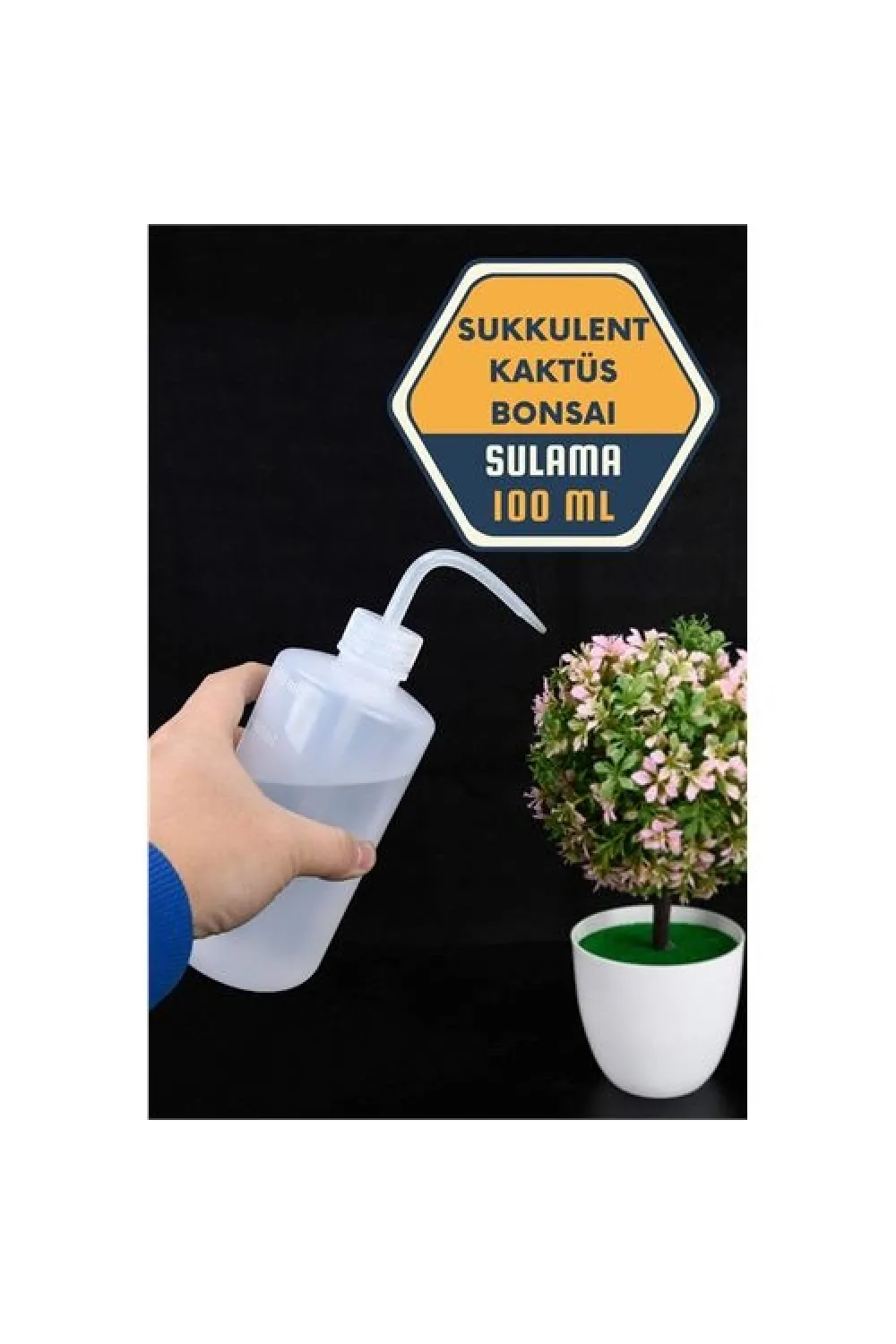 Sukkulent Kaktüs Bonsai Sulama Şişesi