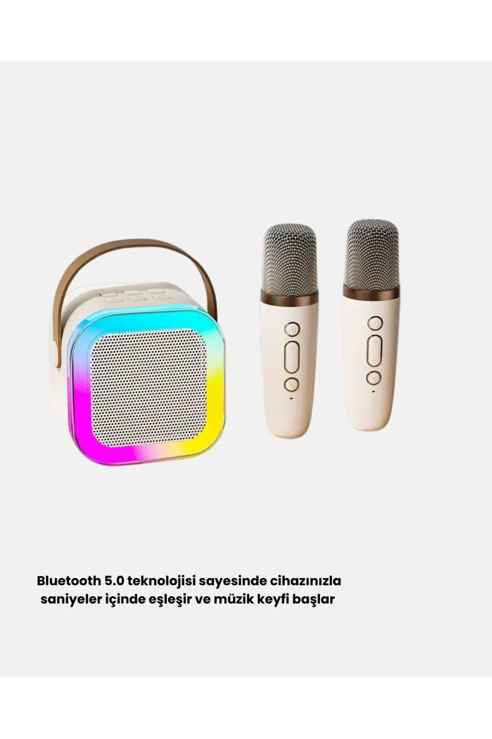 Taşınabilir Karaoke Hoparlör Bluetooth 5.0 Ve Çift Mikrofonlu