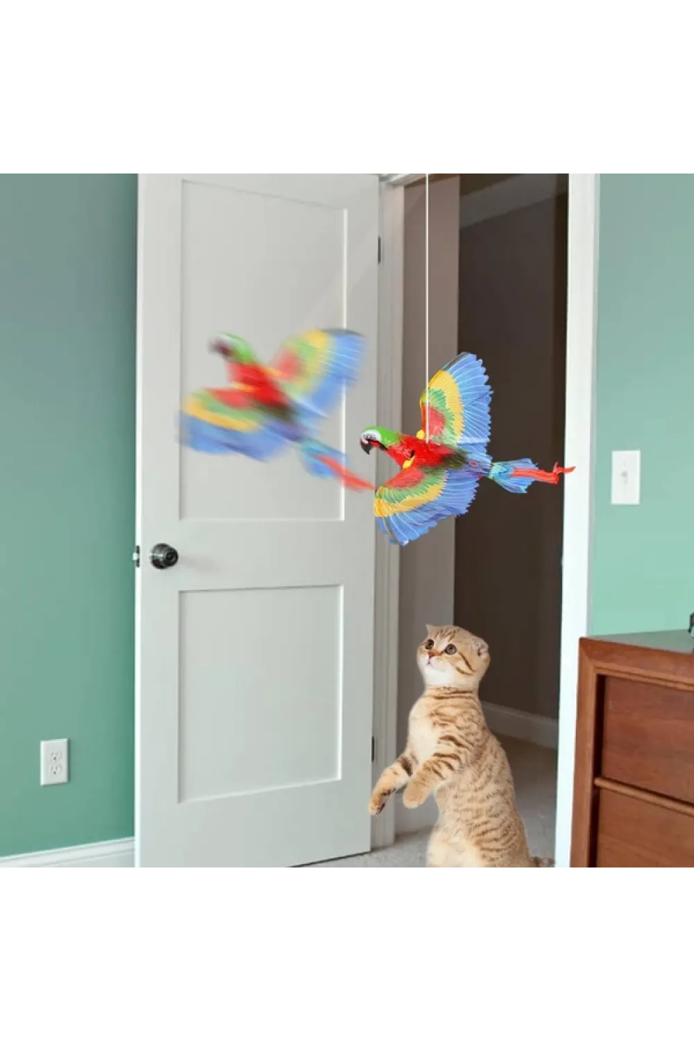 Uçan Papağan Kedi Oyuncağı