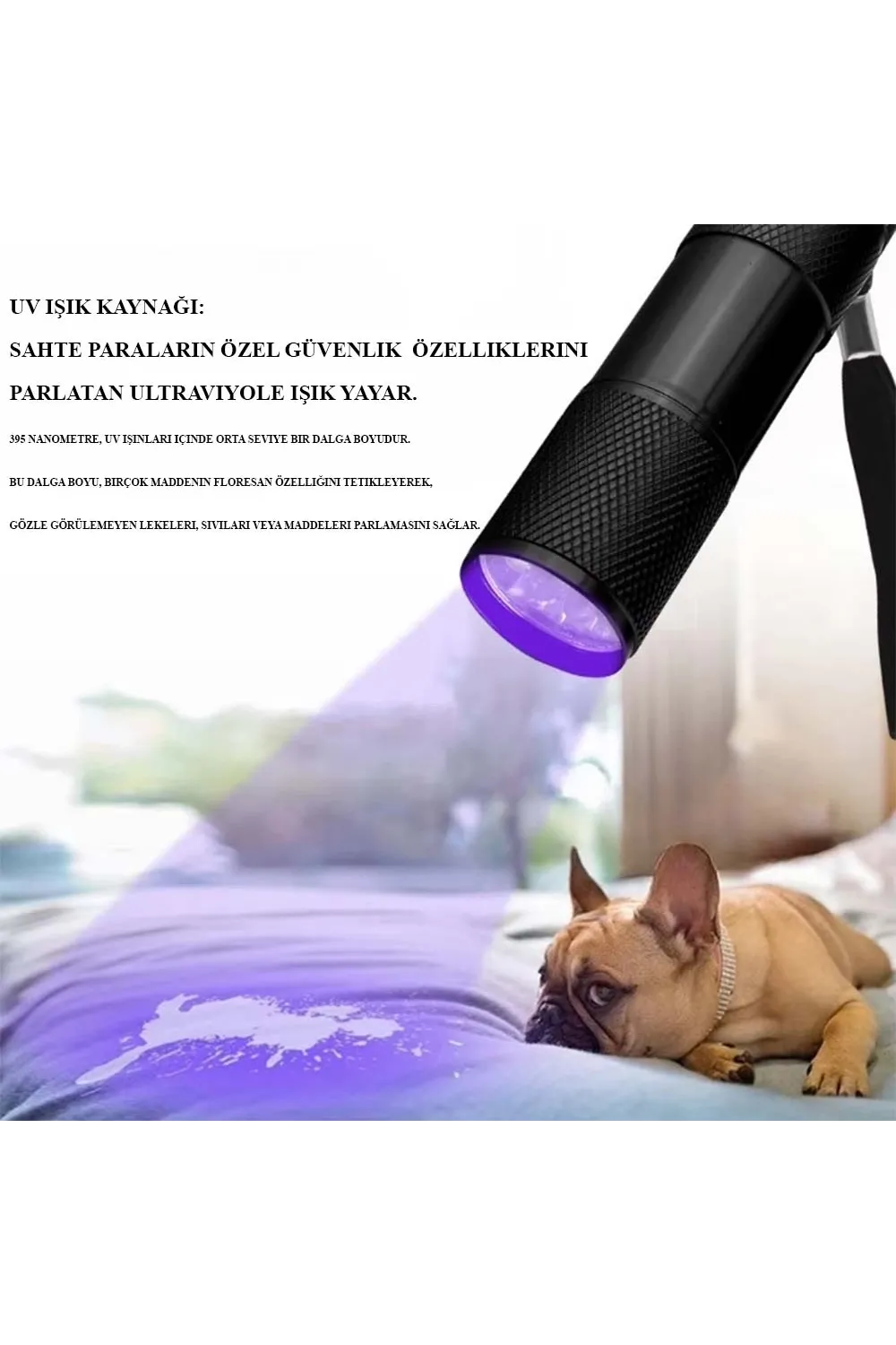 Ultraviole Para Kontrol Işığı Wt-302
