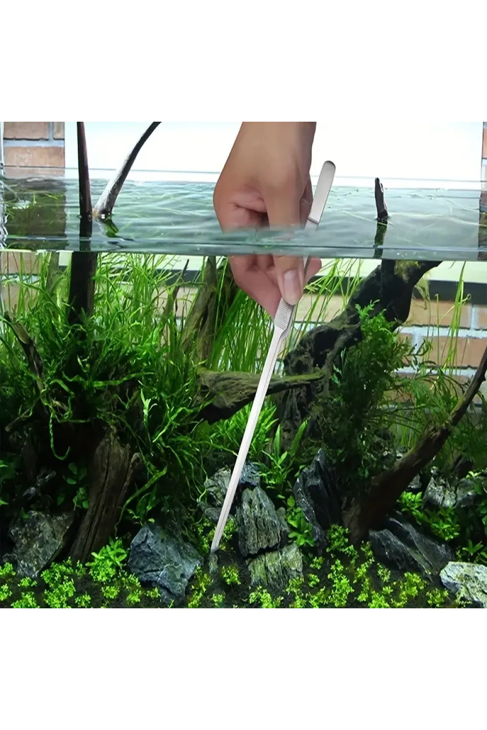 Uzun 30 Cm Çelik Cımbız - Akvaryum Maşası