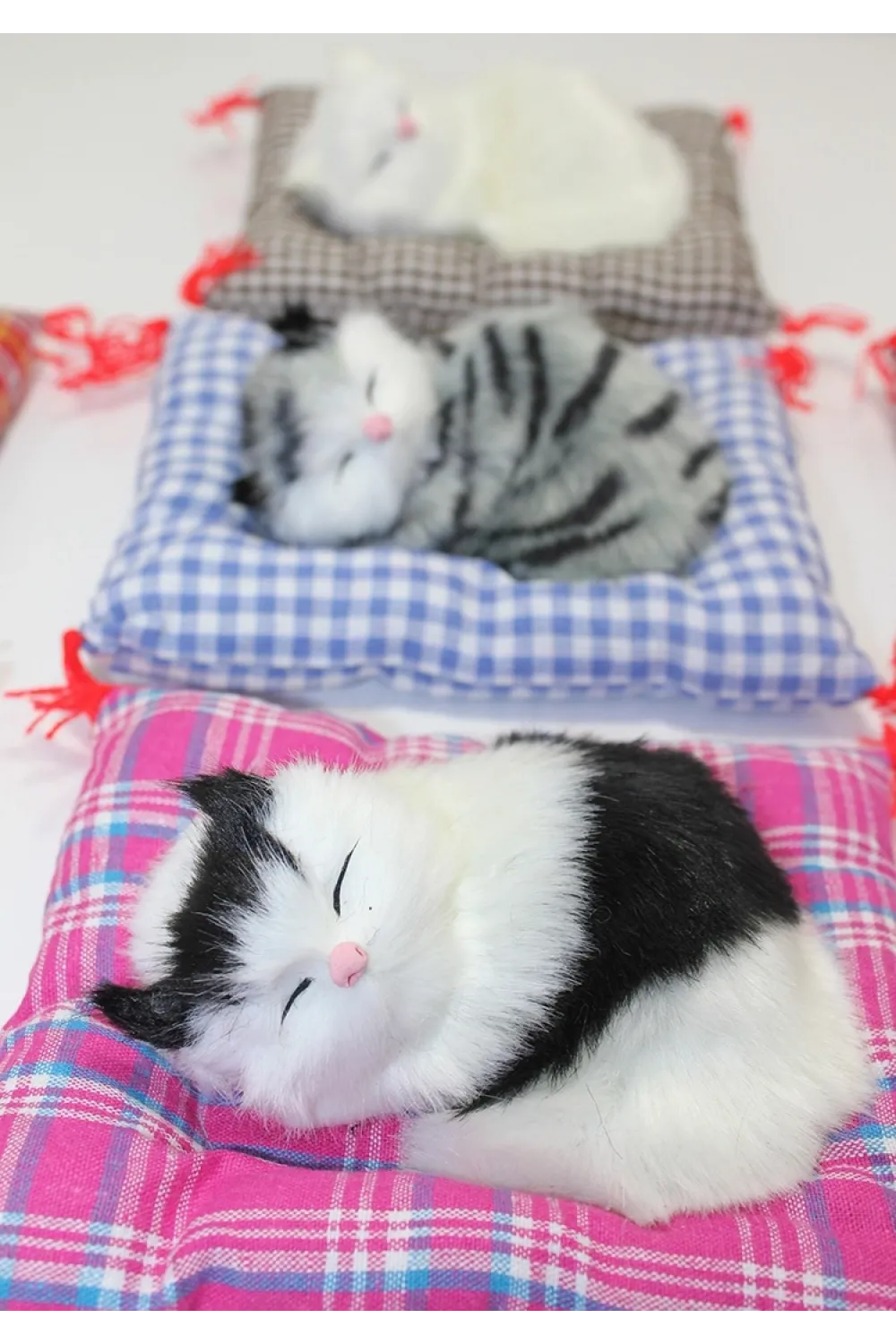 Yastıkta Uyuyan Kedi Sesli IEG25