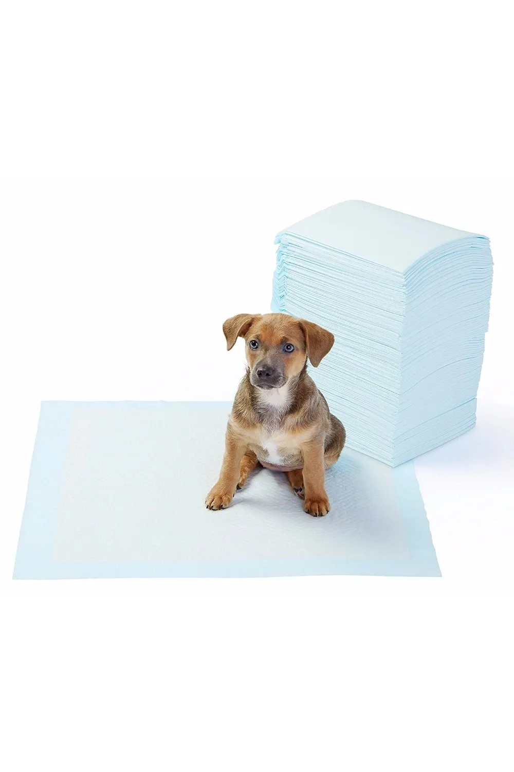 Yıkanabilir Köpek Çiş Pedi - 100 X 100 Cm 5li Paket
