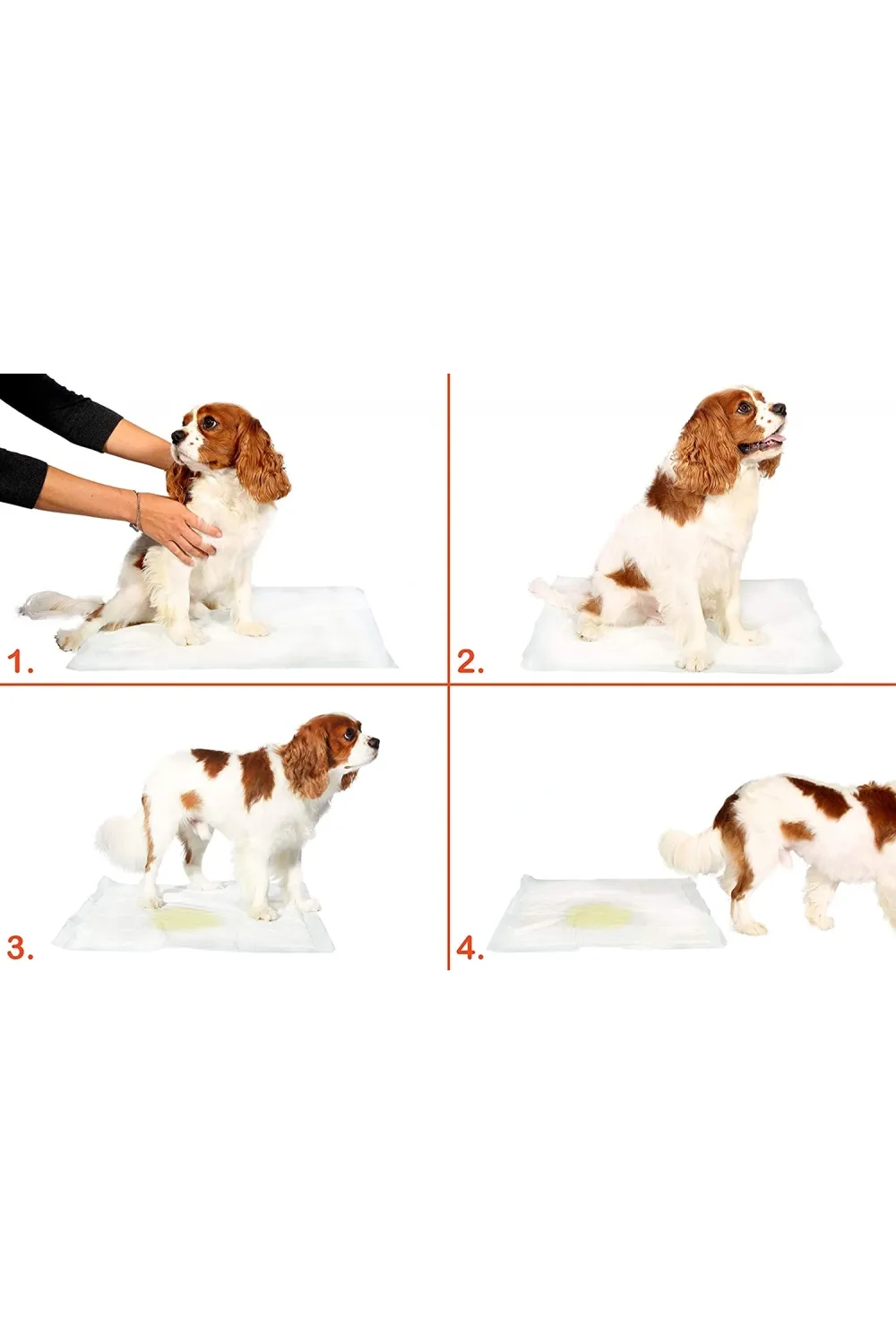 Yıkanabilir Köpek Çiş Pedi - 90 X 60 Cm