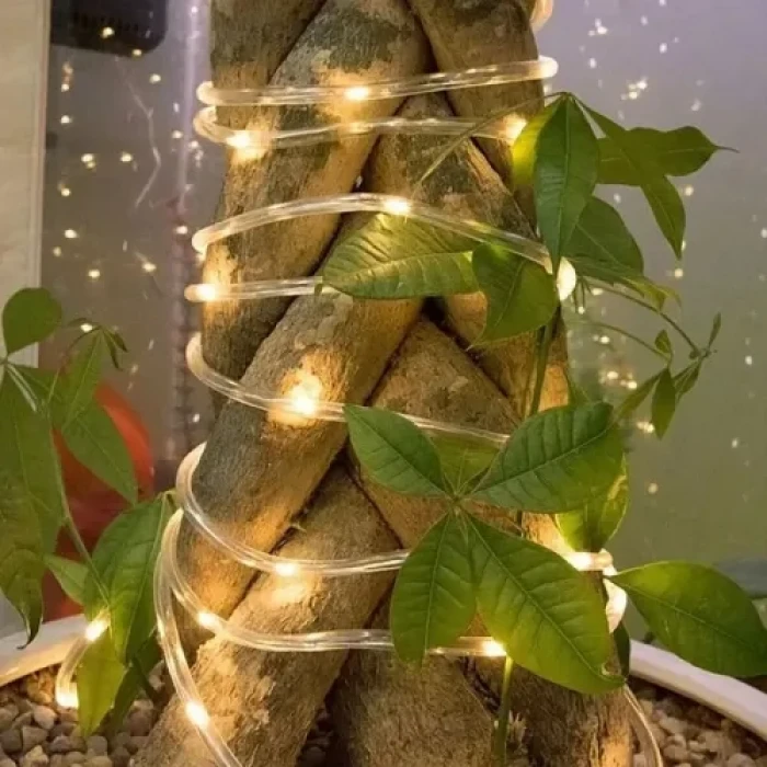 10m 100 LED Solar Led Işık Gün Işığı Şeffaf Kablolu