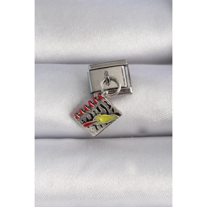ietaks™ 316L Çelik Gümüş Renk Sallantı Defter Figür Nomination Charm