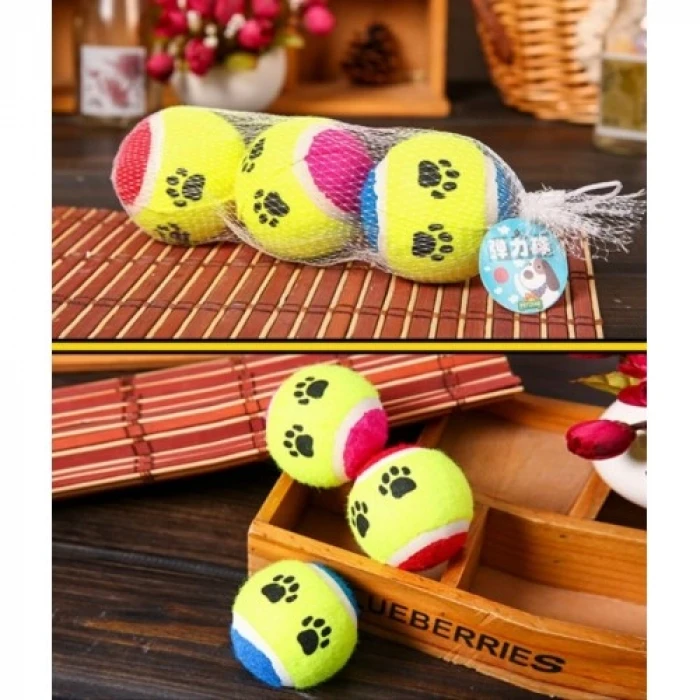 At Getir Köpek Eğitim Topu (K95)