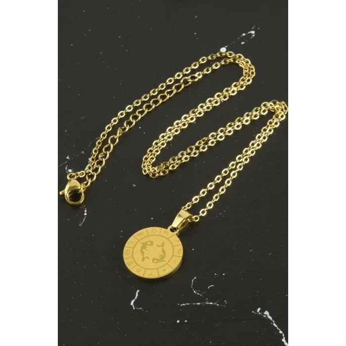 Balık Burcu Çelik Kolye