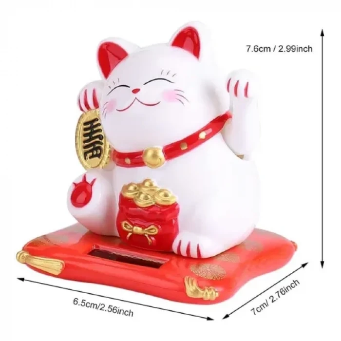 Bereket ve Uğur Getiren Şanslı Kedi