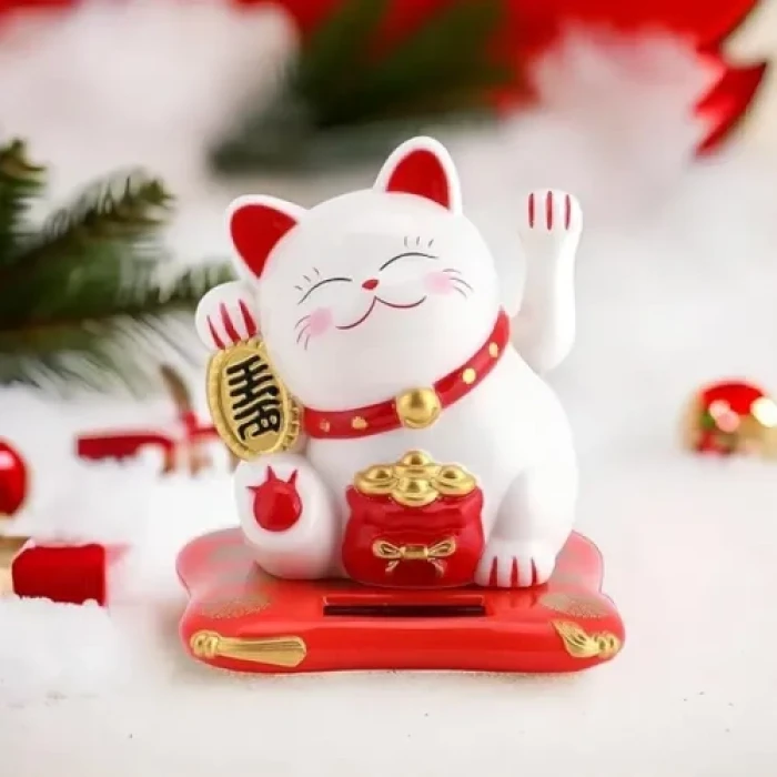 Bereket ve Uğur Getiren Şanslı Kedi