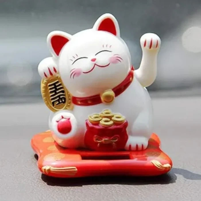 Bereket ve Uğur Getiren Şanslı Kedi