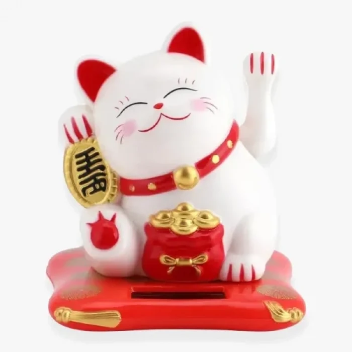 Bereket ve Uğur Getiren Şanslı Kedi