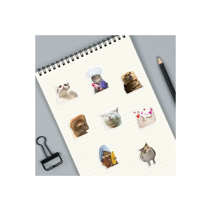 Çılgın Kediler Macbook Notebook Tablet Telefon Ajanda Laptop Defter Sticker Seti
