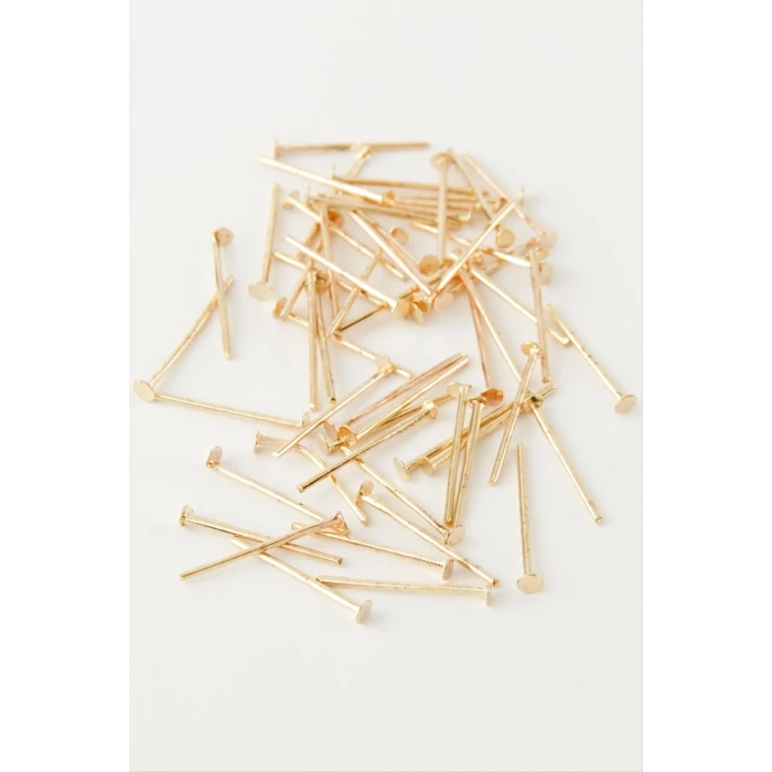 ieg™ 1,5 cm Çivi 500 Gram