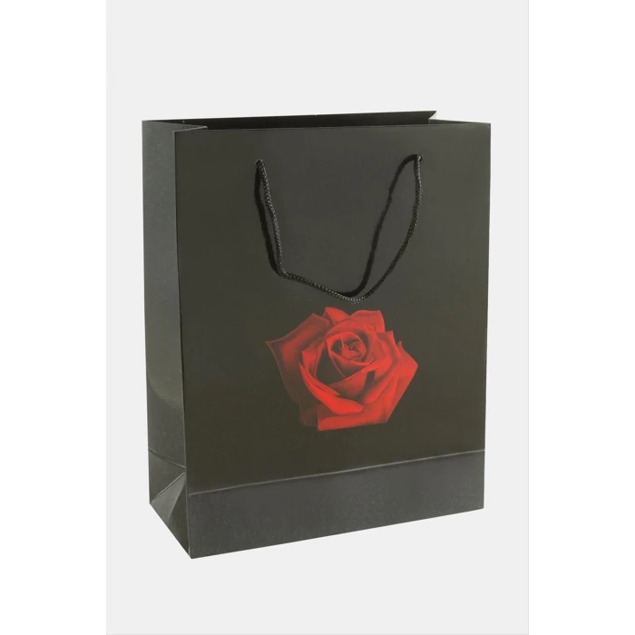 ieg™ 20*25 Gül İpli Karton Çanta 1 Adet