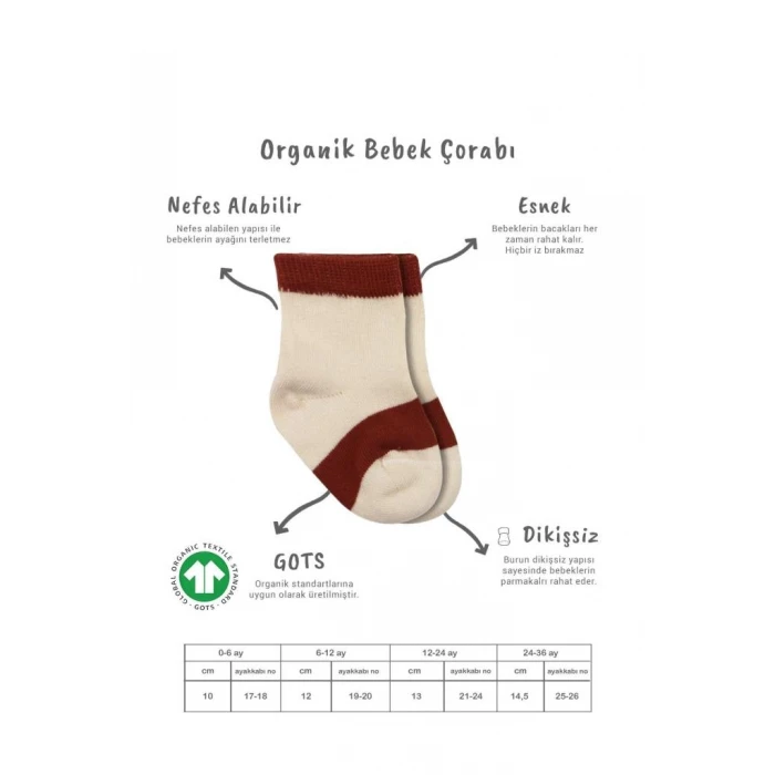 ieg™ 3Lü Penye Rainbow Soket Çorap BS10113 Kiremit