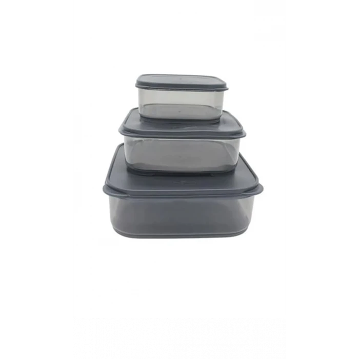 İEG 3lü Yatay Füme Renk Saklama Kabı -VİV-OX258