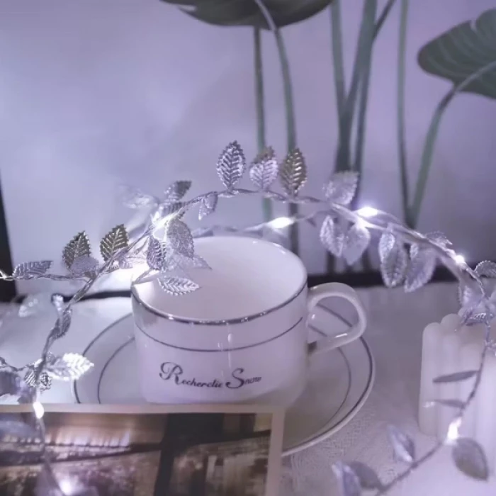 ieg™ 3 Metre Yaldızlı Gümüş LED Işık