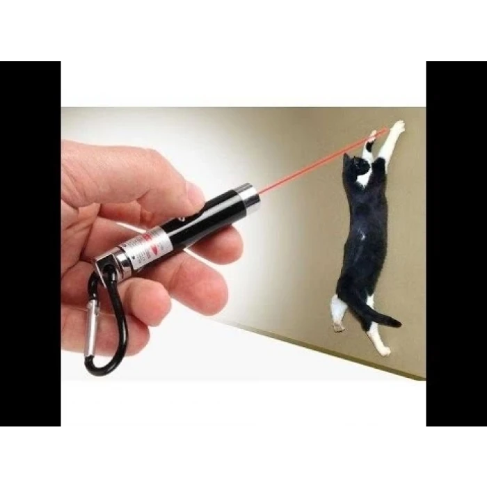 ieg™ 4 Yedek Başlıklı Pilli Kedi Oyuncağı Lazer Anahtarlık