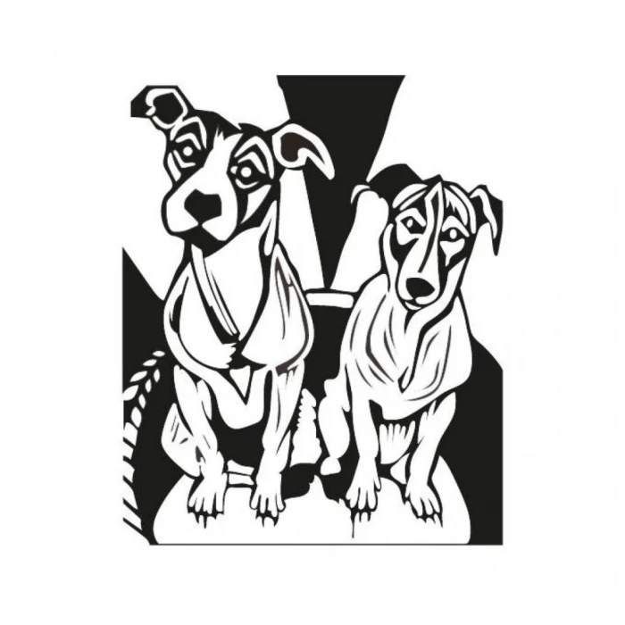 ieg™ 5004  Baskı Seti