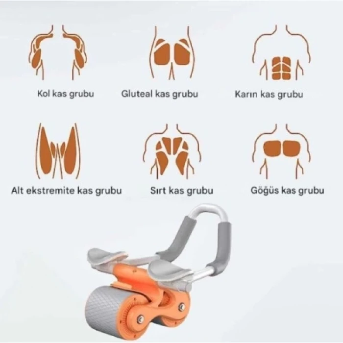 ieg™ AB Roller Karın Kası Egzersiz Tekerleği