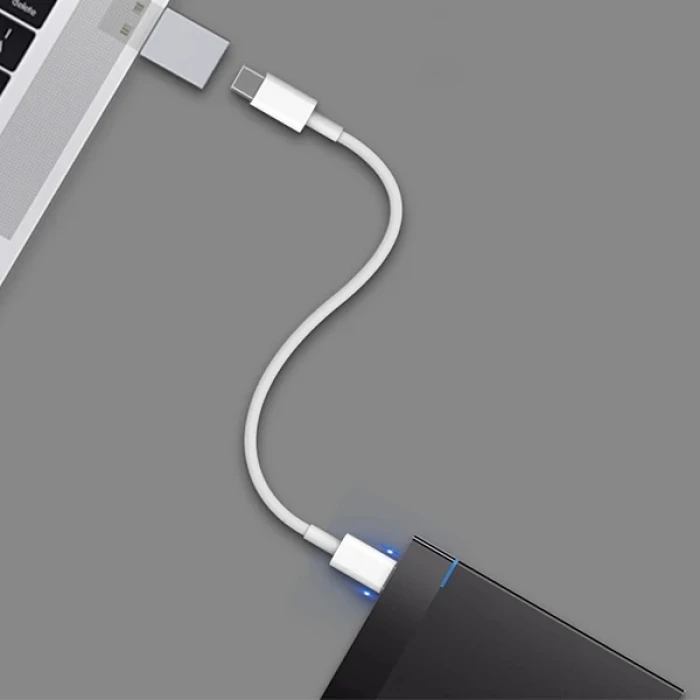 ieg™ Ally Mh-301 Usb To Type-c Dişi Çevirici Dönüştürücü Adaptör