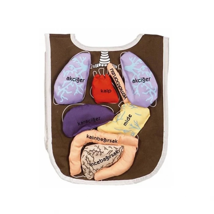 ieg™ AND-5011 ORGAN ÖNLÜĞÜ