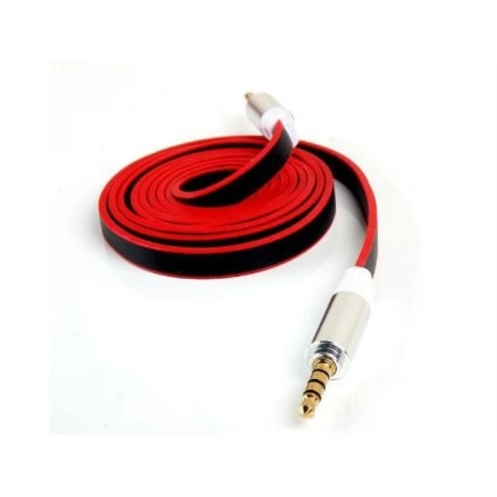 ieg™ Aux Kablosu 100 cm