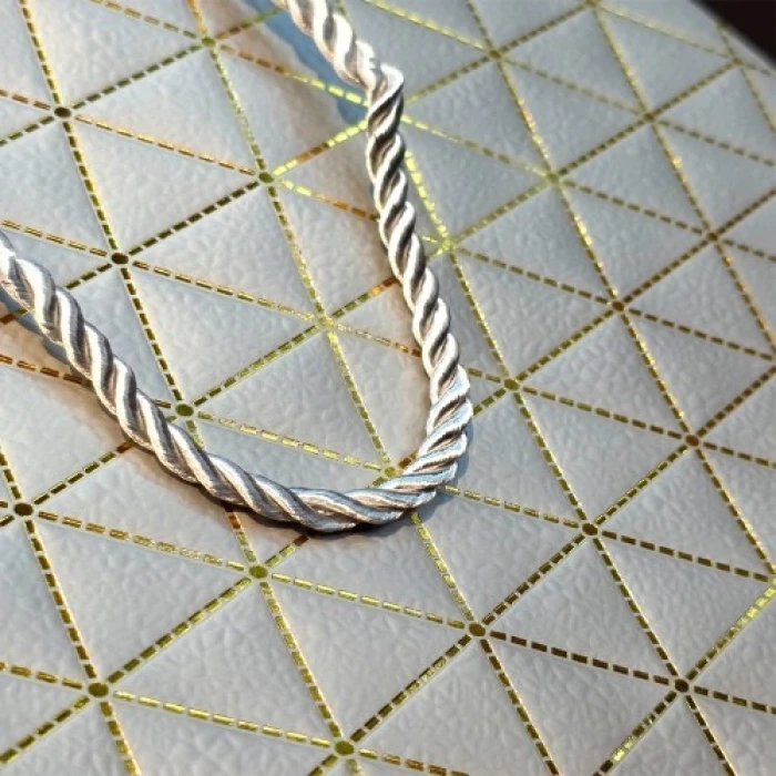 ieg ™ Büyük Boy Gümüş Ve Gold Desenli Karton Çanta