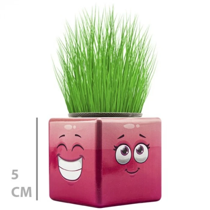 ieg™ Çim Adam Mini Küp Emoji Figürlü 1 Adet