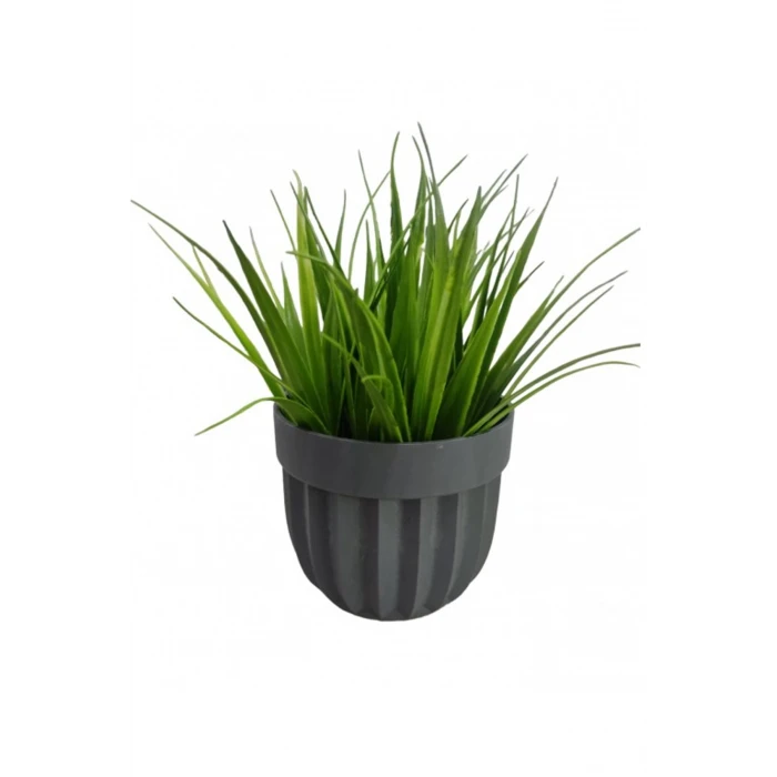 İEG Çizgili Saksı Sazlı Çiçek -5782